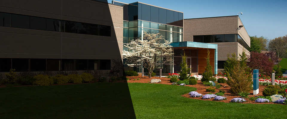 Sayreville Landscapers